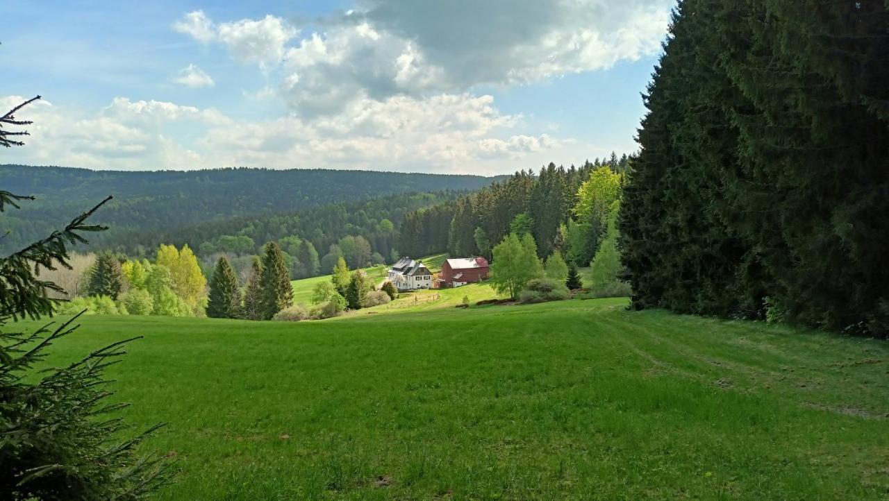 Отель Haus Waldschaenke Erlbach  Экстерьер фото