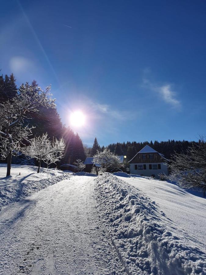 Отель Haus Waldschaenke Erlbach  Экстерьер фото